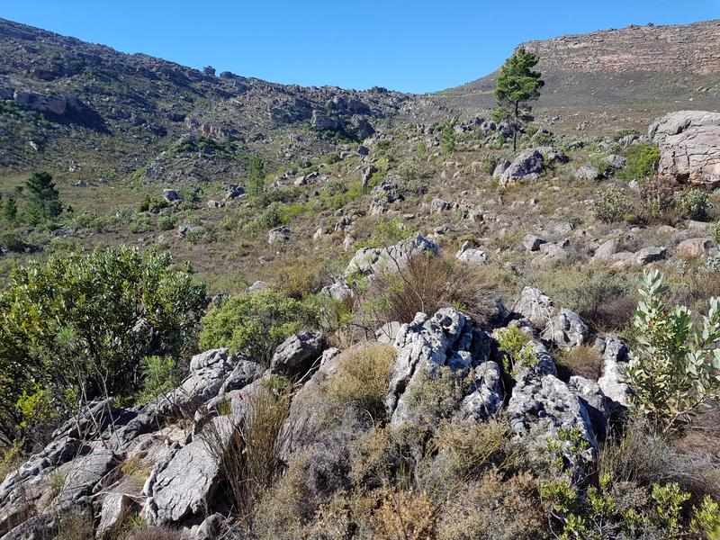 6 Bedroom Property for Sale in Piketberg Rural Western Cape